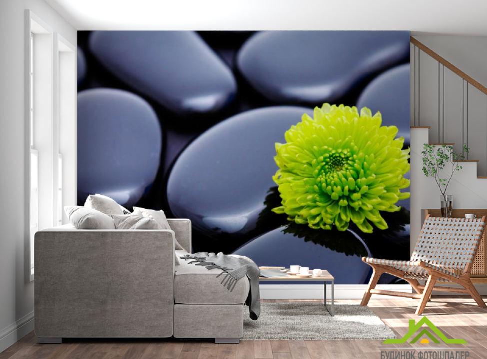 выбрать Фотошпалери Квітка і камені Каталог фотошпалер на стіну