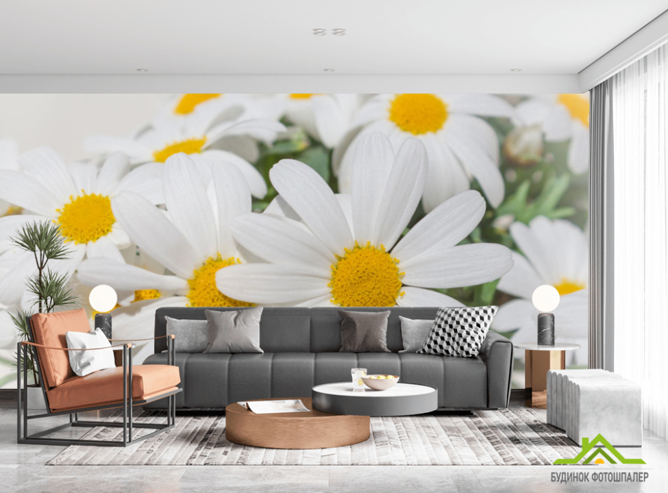 выбрать Фотошпалери Білі ромашки Каталог фотошпалер на стіну