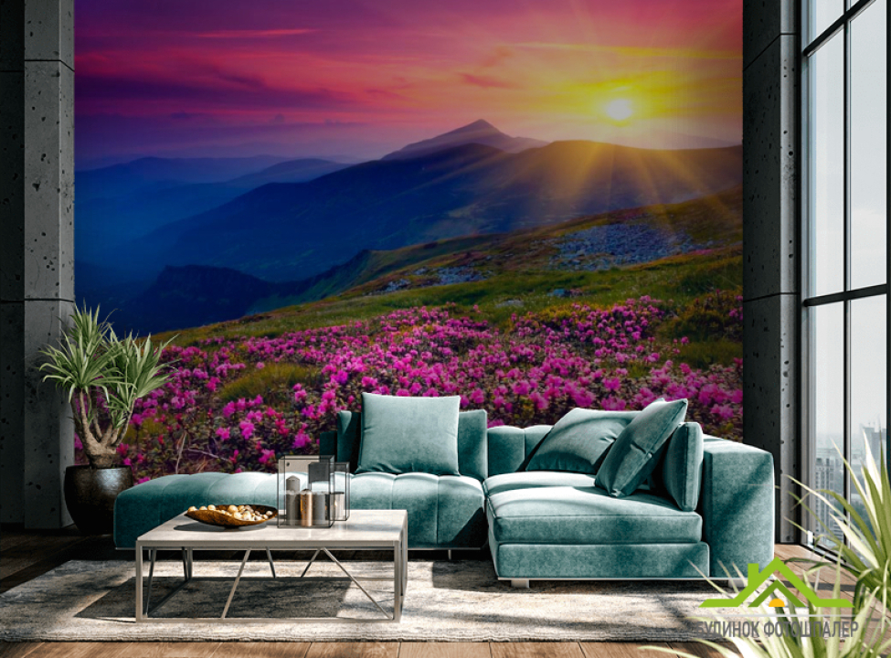 выбрать Фотошпалери Захід, солце, квіти Каталог фотошпалер на стіну