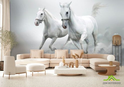 выбрать Фотообои Две белых лошади Фотообои Животные на стену