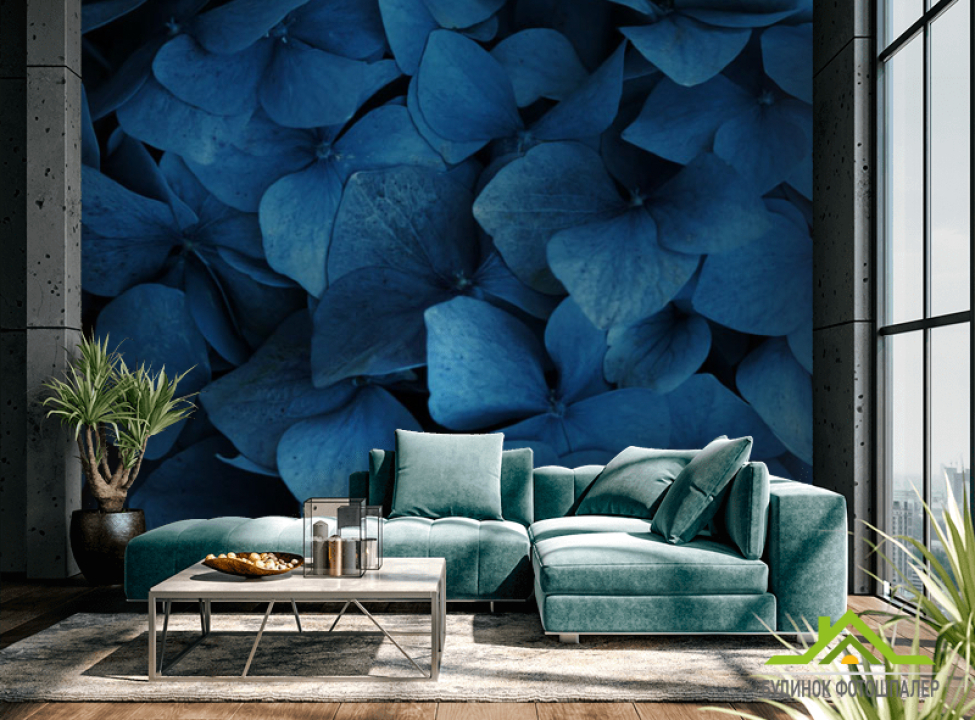 выбрать Фотошпалери Гортензія Каталог фотошпалер на стіну