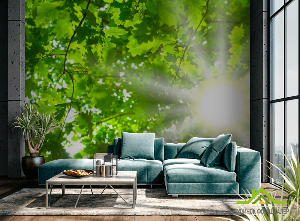 выбрать Фотошпалери Дубовий лист Каталог фотошпалер на стіну