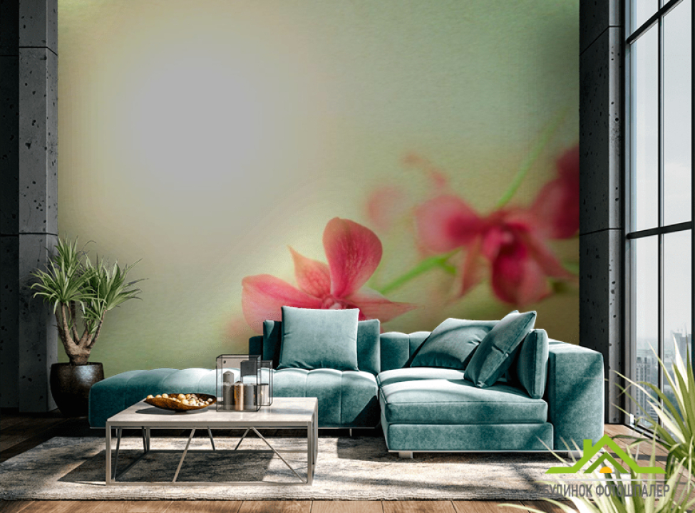 выбрать Фотошпалери Орхідеї бордові Каталог фотошпалер на стіну