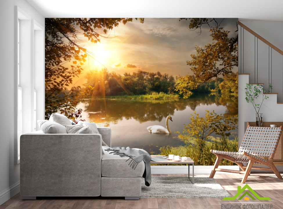 выбрать Фотообои лебедь на озере Каталог фотообоев на стену