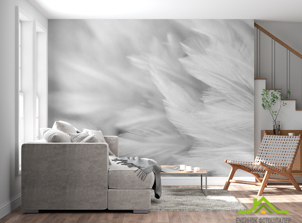 выбрать Фотообои Белые перья Каталог фотообоев на стену