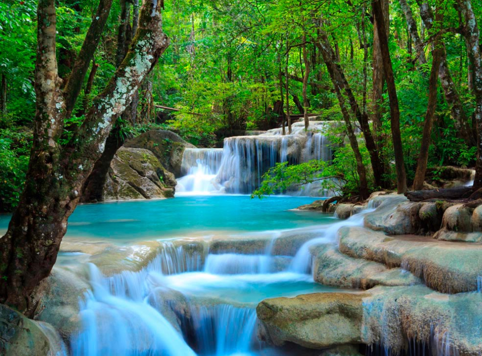 выбрать Фотообои Водная сказка Каталог фотообоев на стену