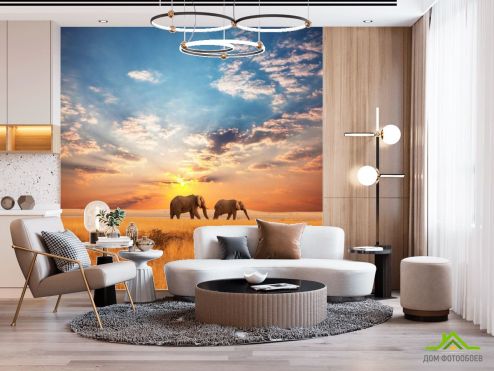 выбрать Фотообои Слоны на закате Фотообои Фотообои Животные: Слоны, фото на стену