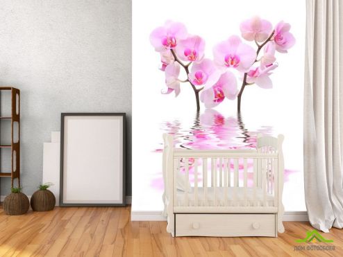 выбрать Фотообои Орхидеи бело-розовые Фотообои Фотообои Цветы: вертикальная ориентация на стену