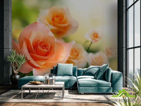 выбрать Фотошпалери Кремові трояндочки  на стіну