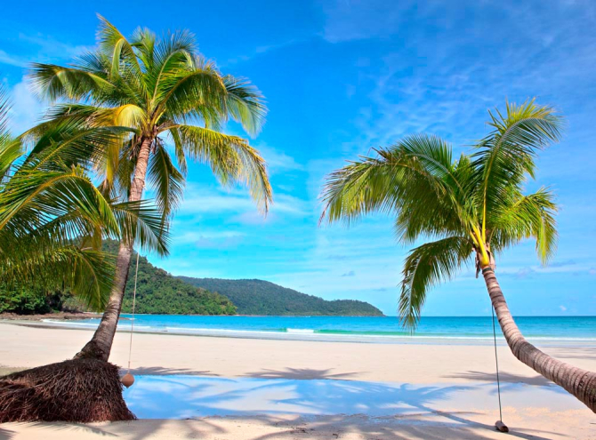 Фотообои Пляж и пальмы