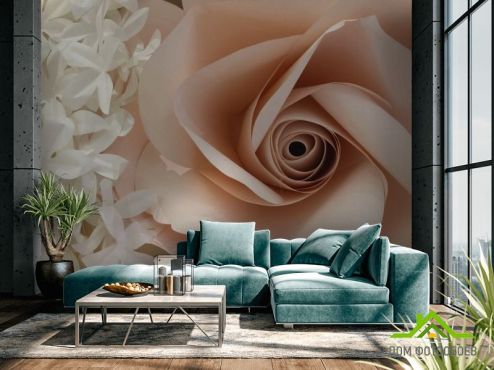 выбрать Фотообои большая бежевая роза из бумаги Фотообои Фотообои Цветы: горизонталная, горизонтальная на стену