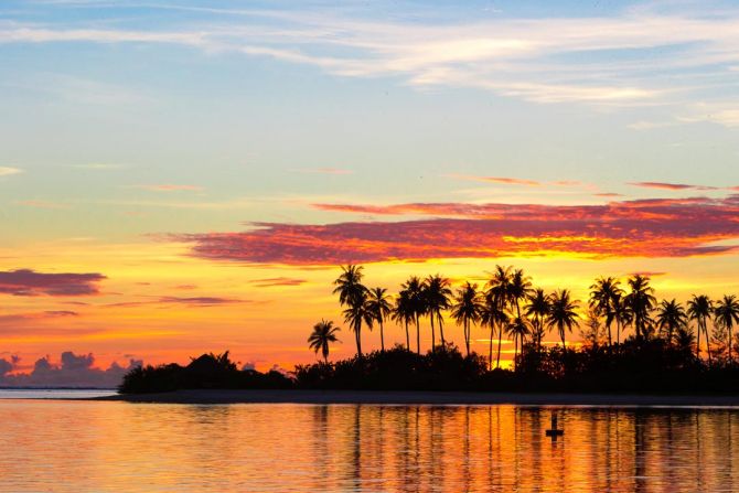 Фотошпалери пальми і захід сонця над морем