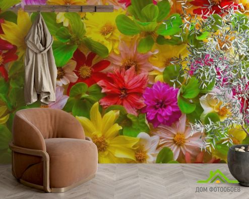 выбрать Фотообои Разнотравный букет Фотообои Фотообои Цветы: горизонталная, горизонтальная, фото ориентация на стену