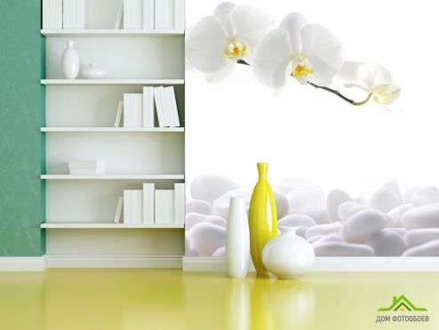 выбрать Фотошпалери Білі орхідеї Фотошпалери, колір: «» на стіну