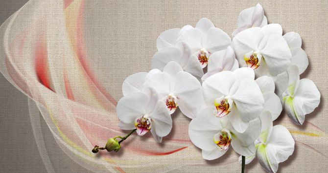 Фотообои Орхидеи на фоне ткани
