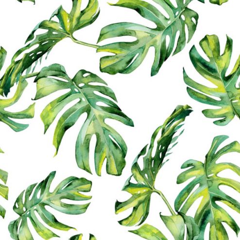 выбрать Фотообои тропические листья Зеленые фотообои на стену
