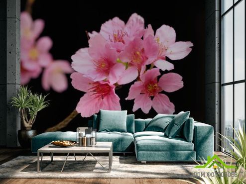 выбрать Фотообои Розовые персиковые цветы Фотообои Фотообои Цветы: розовый на стену