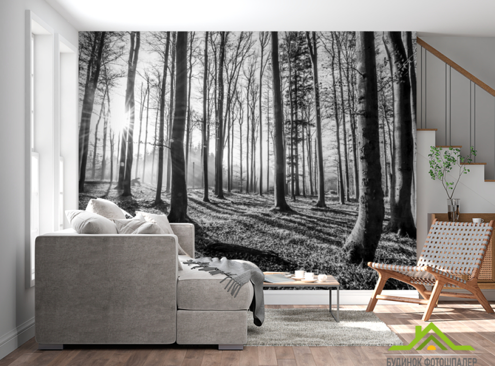 выбрать Фотообои серый лес Каталог фотообоев на стену