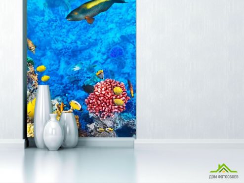 выбрать Фотообои Рыба возле рифа Фотообои Фотообои Море: вертикальная, голубой ориентация на стену