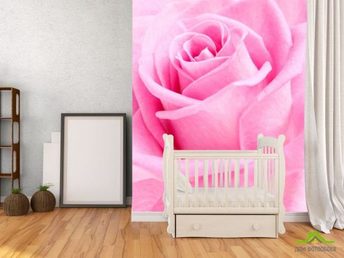 выбрать Фотообои Макро-съемка розы Розовые фотообои на стену