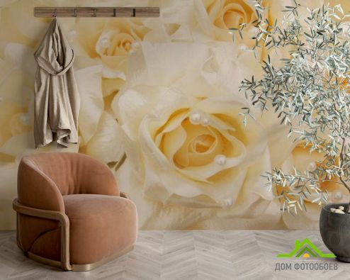 выбрать Фотообои Розы оттенка кремового Фотообои, цвет: «бежевый, горизонталная, горизонтальная» на стену