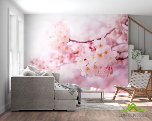 выбрать Фотообои Весной цветущая вишня Фотообои Цветы на стену