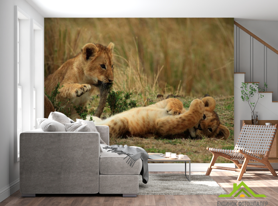 выбрать Фотообои Игры львят Каталог фотообоев на стену