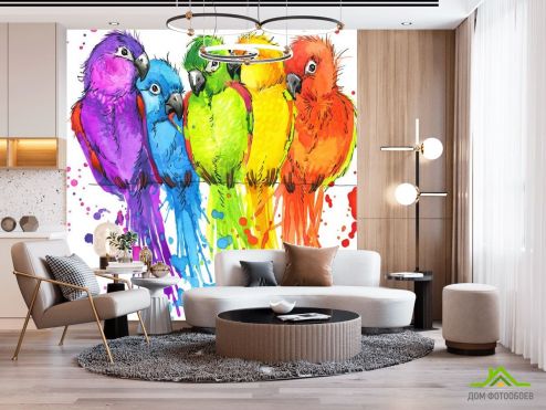 выбрать Фотошпалери п'ять різнокольорових папуг малюнок Фотошпалери Фотошпалери Тварини: квадратна орієнтація на стіну