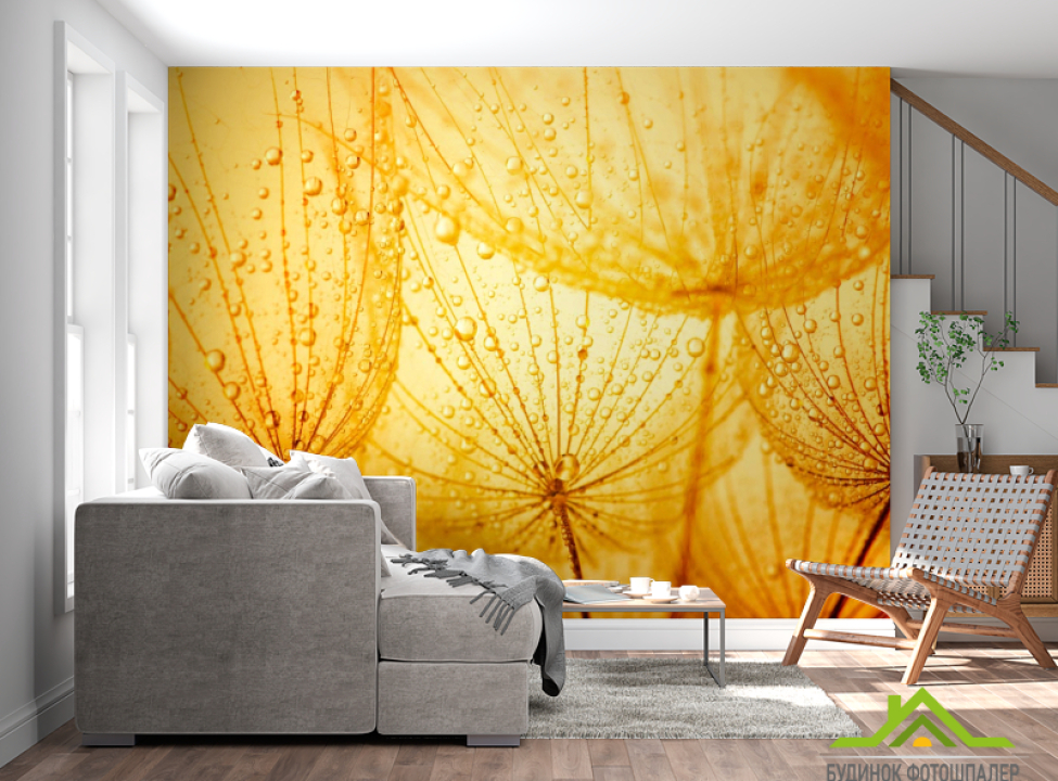 выбрать Фотошпалери помаранчевий кульбаба Каталог фотошпалер на стіну