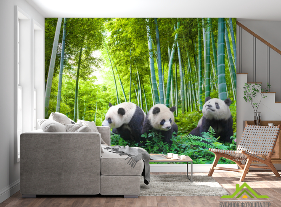 выбрать Фотошпалери Панди в бамбуку Каталог фотошпалер на стіну