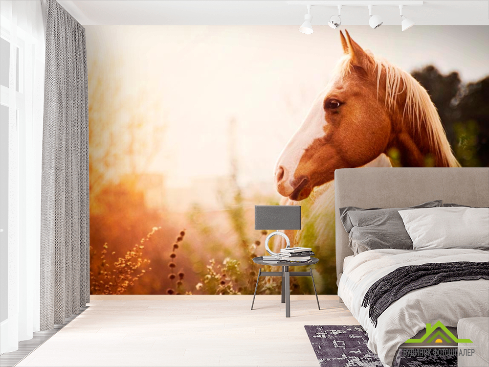 Фотошпалери Кінь серед трав