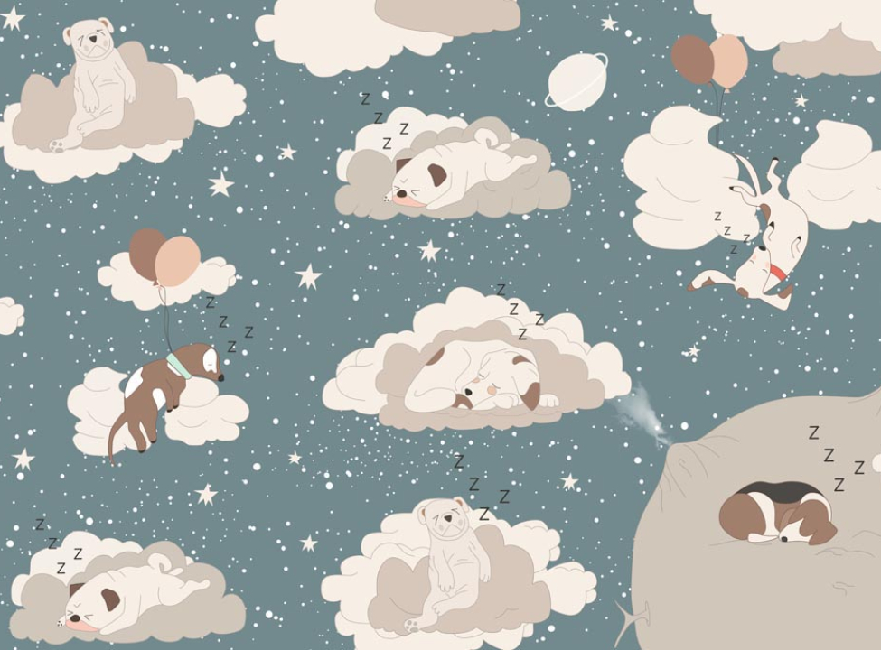 выбрать Фотообои Спящие тучки Каталог фотообоев на стену