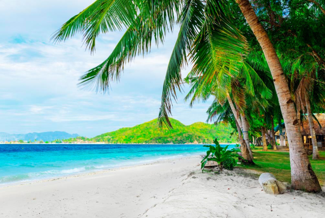 Фотообои Пальмы и пляж