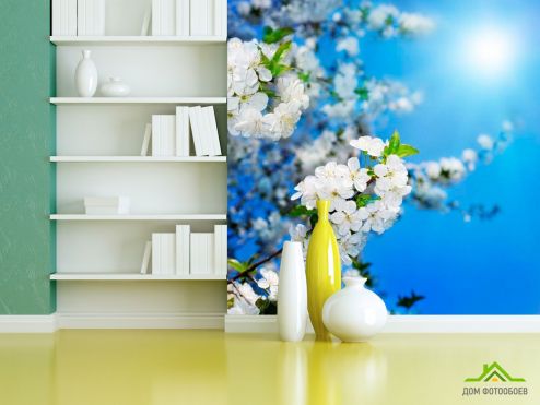 выбрать Фотообои Цветущие весной персики Фотообои Фотообои Цветы: фото, голубой  на стену