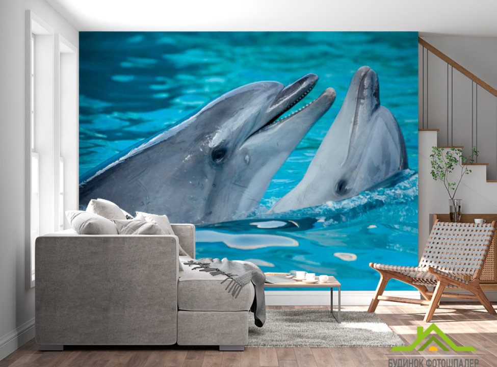 выбрать Фотошпалери Ніжність дельфінів Каталог фотошпалер на стіну