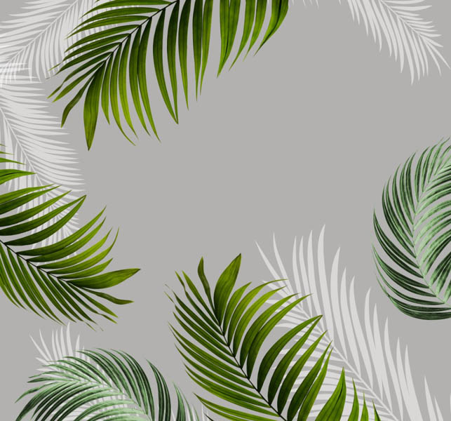 Фотообои тропические листья