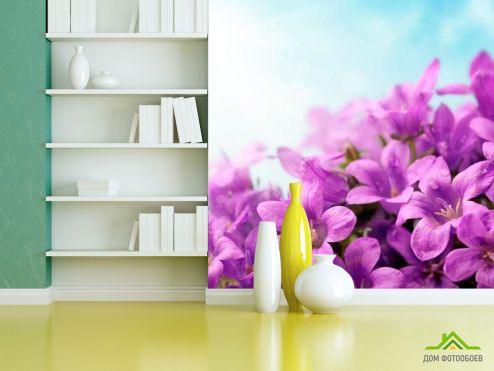 выбрать Фотообои Сирень макро-съемка Фотообои Фотообои Цветы: квадратная, фиолетовый ориентация на стену