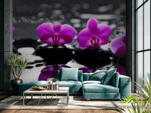 выбрать Фотообои фиолетовые орхидеи на камнях Фотообои Фотообои Цветы:  на стену