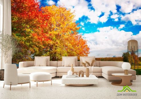 выбрать Фотообои Осень, деревья Фотообои Фотообои Природа: горизонталная, горизонтальная, оранжевый ориентация на стену