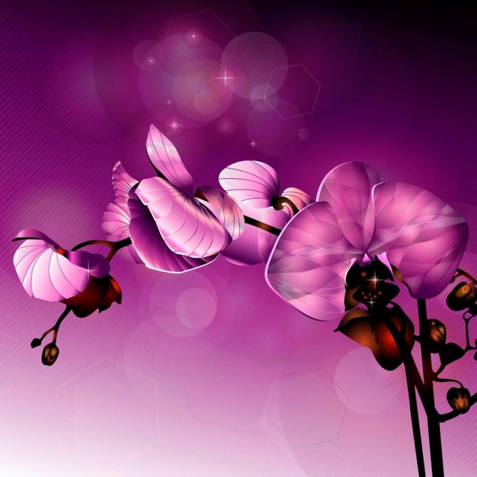 Фотообои Орхидеи фиолетовые