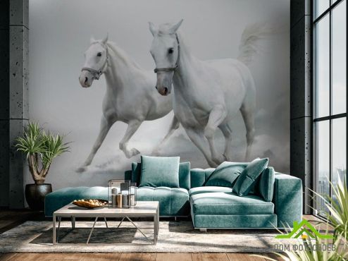 выбрать Фотообои Две белых лошади Фотообои, цвет: «» на стену