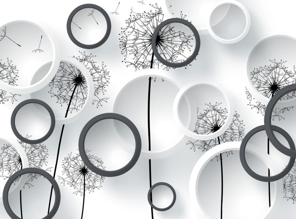 выбрать Фотошпалери Чб кульбаби Каталог фотошпалер на стіну