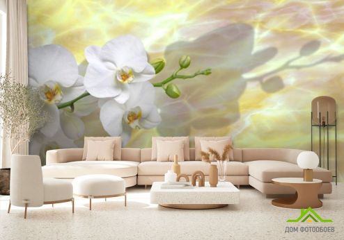 выбрать Фотообои белые орхидеи на  желтом фоне Фотообои Орхидеи на стену