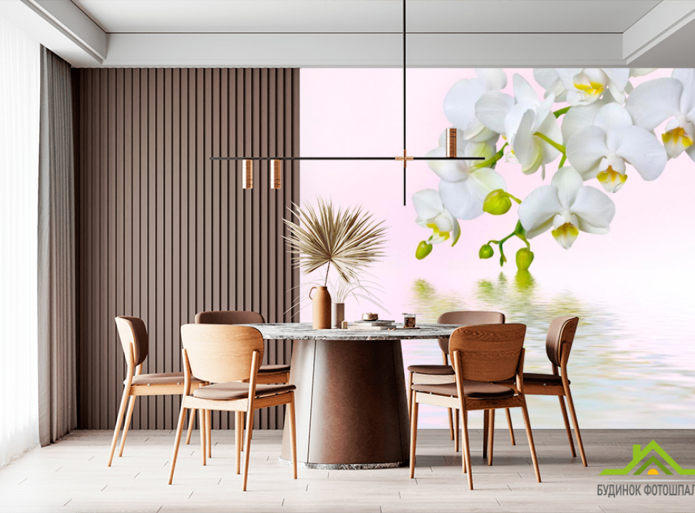 выбрать Фотошпалери Гілочка білих квітів Каталог фотошпалер на стіну