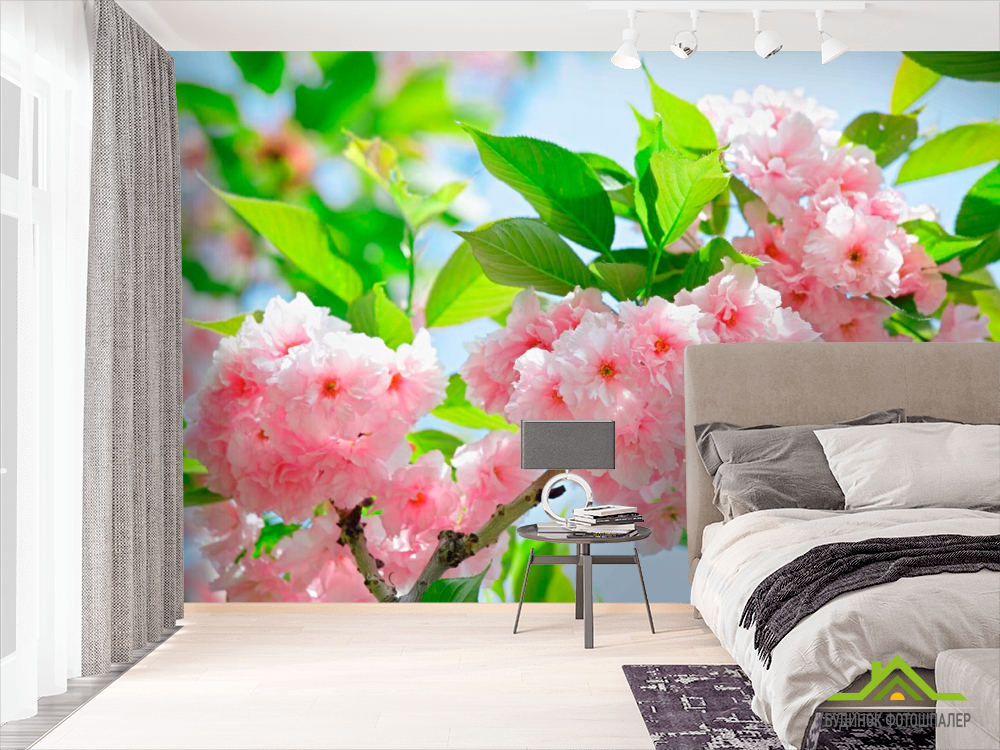 Фотообои Соцветие чайной розы