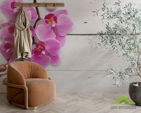 выбрать Фотообои сиреневая орхидея на белом деревянном фоне Фотообои, цвет: «» на стену