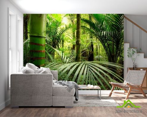 выбрать Фотообои Бамбук, листья Фотообои Природа на стену