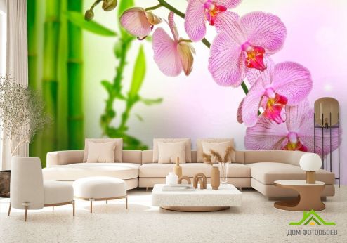 выбрать Фотообои Орхидеи и бамбук Фотообои Цветы на стену