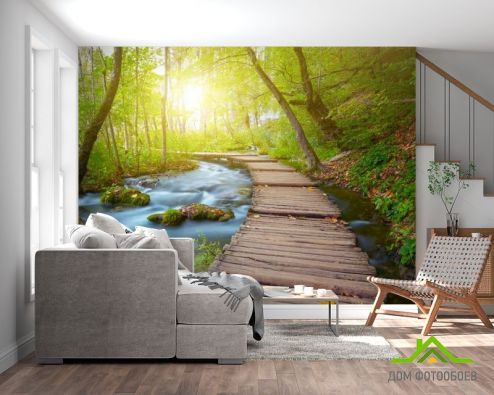 выбрать Фотообои деревянная дорожка в лесу Фотообои, цвет: «горизонталная, горизонтальная» на стену