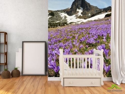 выбрать Фотообои Лесная сказка, цветы Фотообои Природа на стену